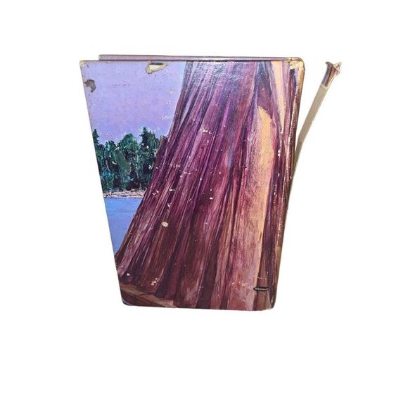 Huckleberry Finn by Mark Twain Hardcover Book - Picture 4 of 13